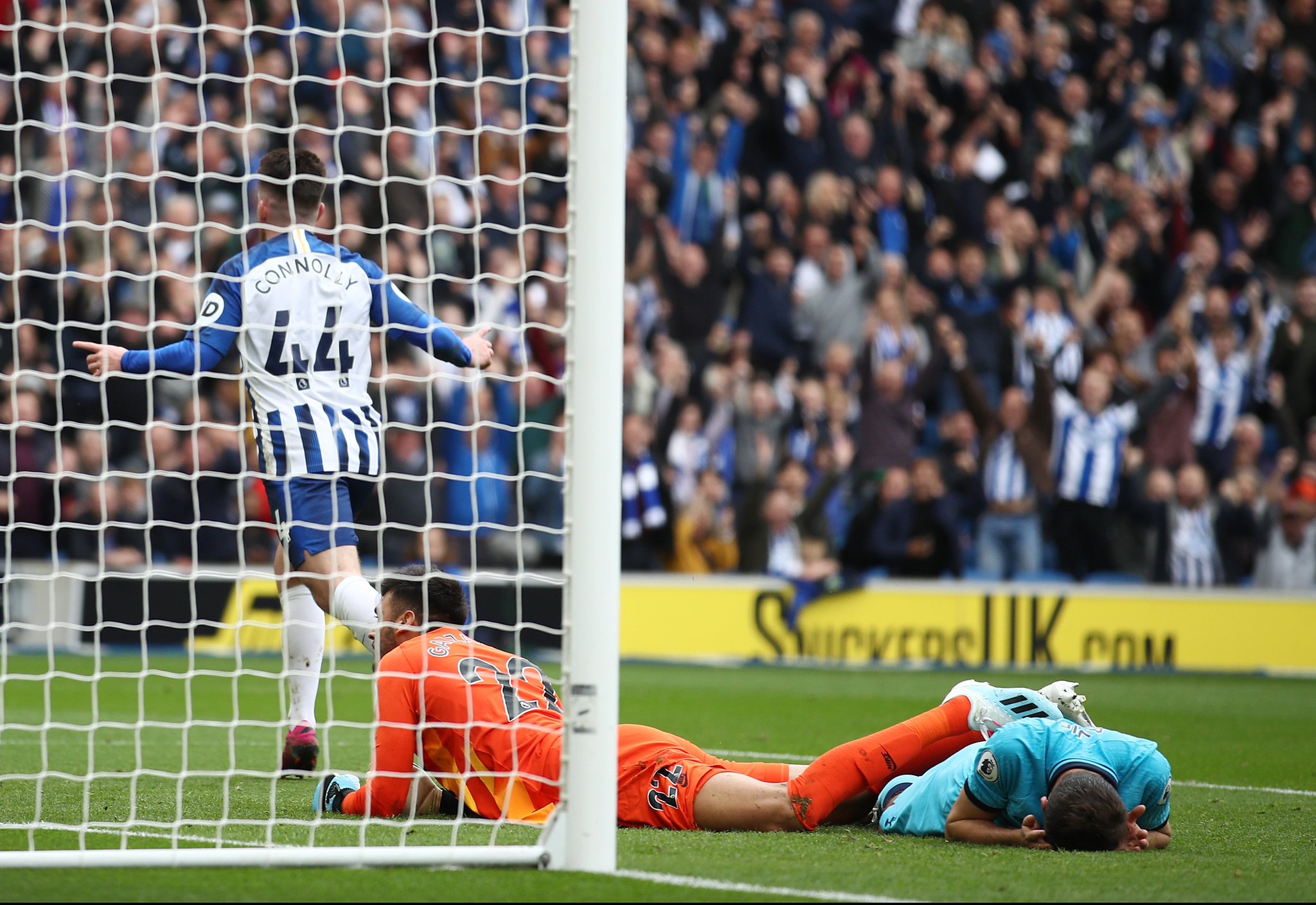 养未来体育 养未来体育